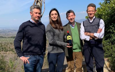 NFT OF GREAT TUSCANY WINERIES SIGNED BY BISCALCHIN: THE SCHEDULE OF THE NEXT LAUNCHES
